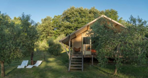 Glamping in Toscana, luxury tents in agriturismo biologico